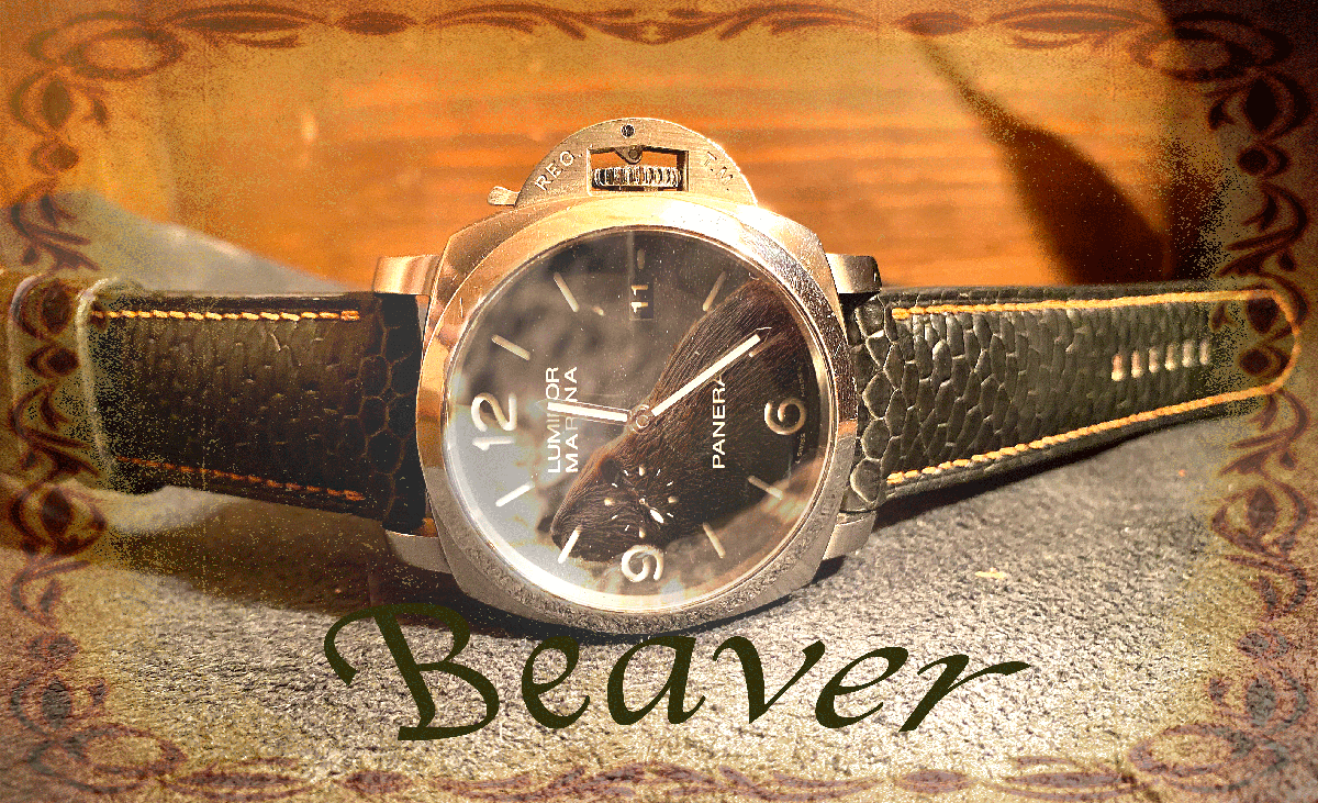 すごく珍しいレザー　ビーバーテールの腕時計レザー　page-visual すごく珍しいレザー　ビーバーテールの腕時計レザー　ビジュアル
