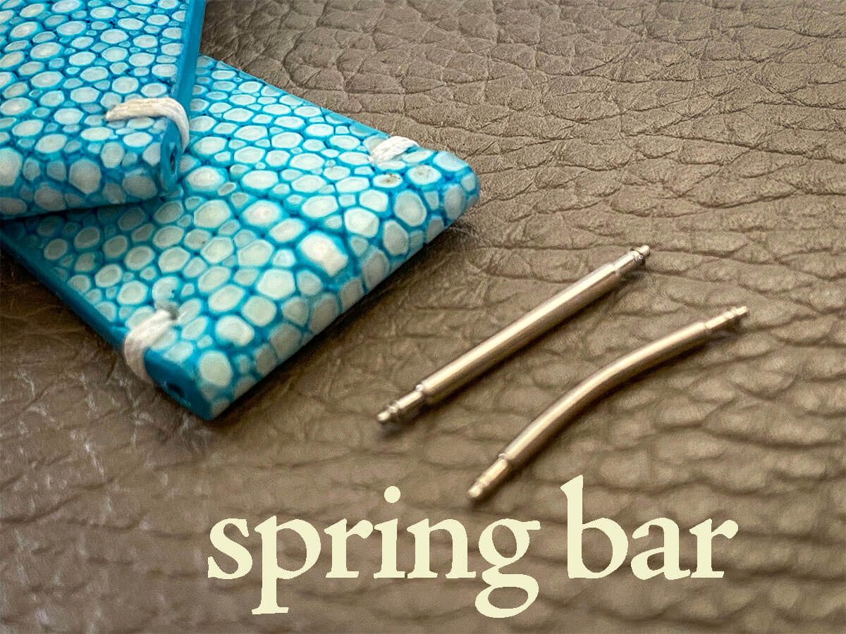 バネ棒(spring bar)には種類がありますpage-visual バネ棒(spring bar)には種類がありますビジュアル
