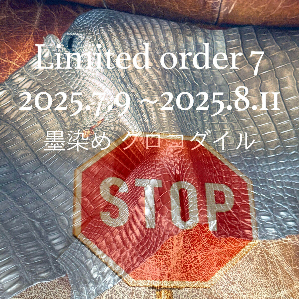 Limited order 7 のご注文を一旦停止します。page-visual Limited order 7 のご注文を一旦停止します。ビジュアル