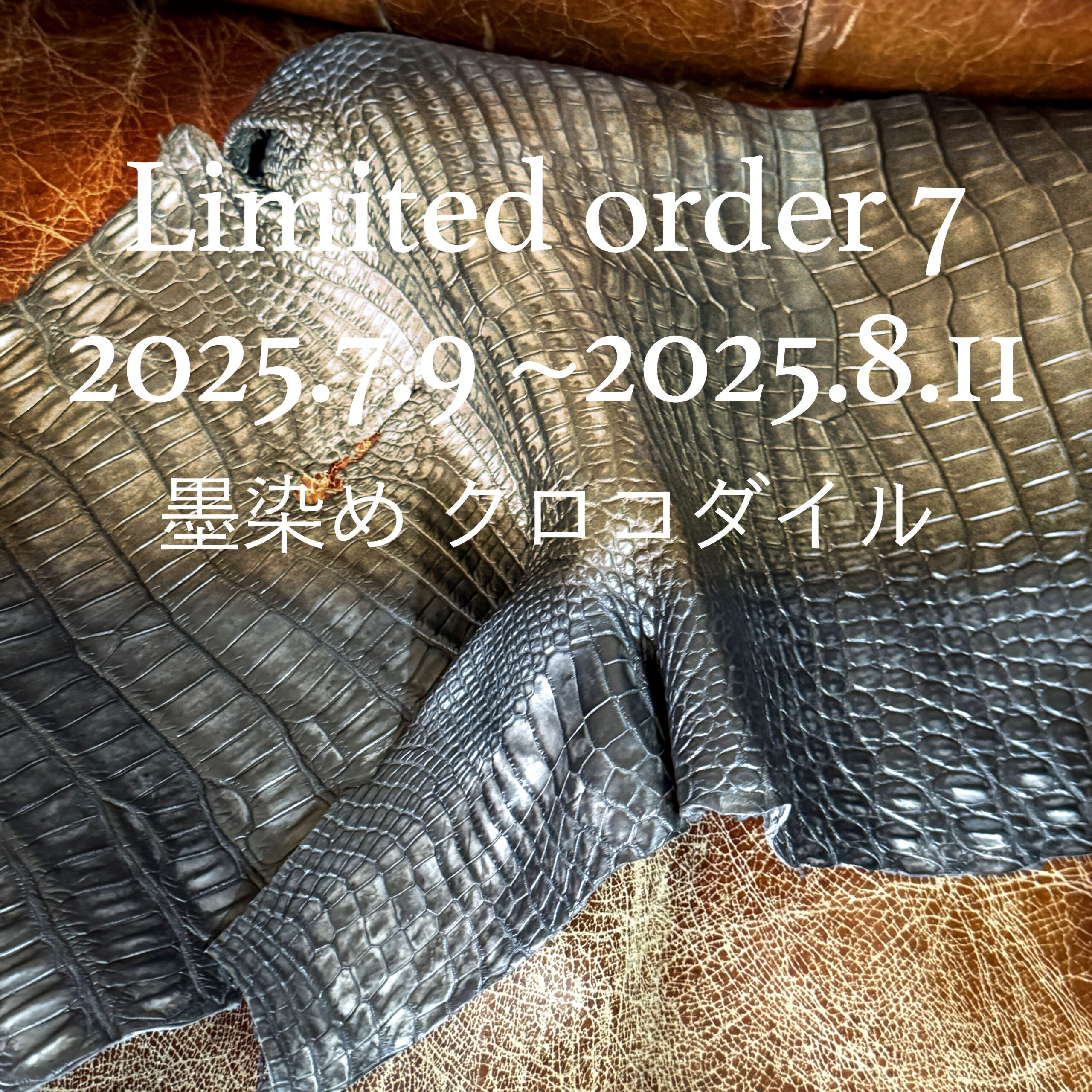 7月9日からLimited order7、墨染めポロサスクロコのオーダーを開始します。page-visual 7月9日からLimited order7、墨染めポロサスクロコのオーダーを開始します。ビジュアル