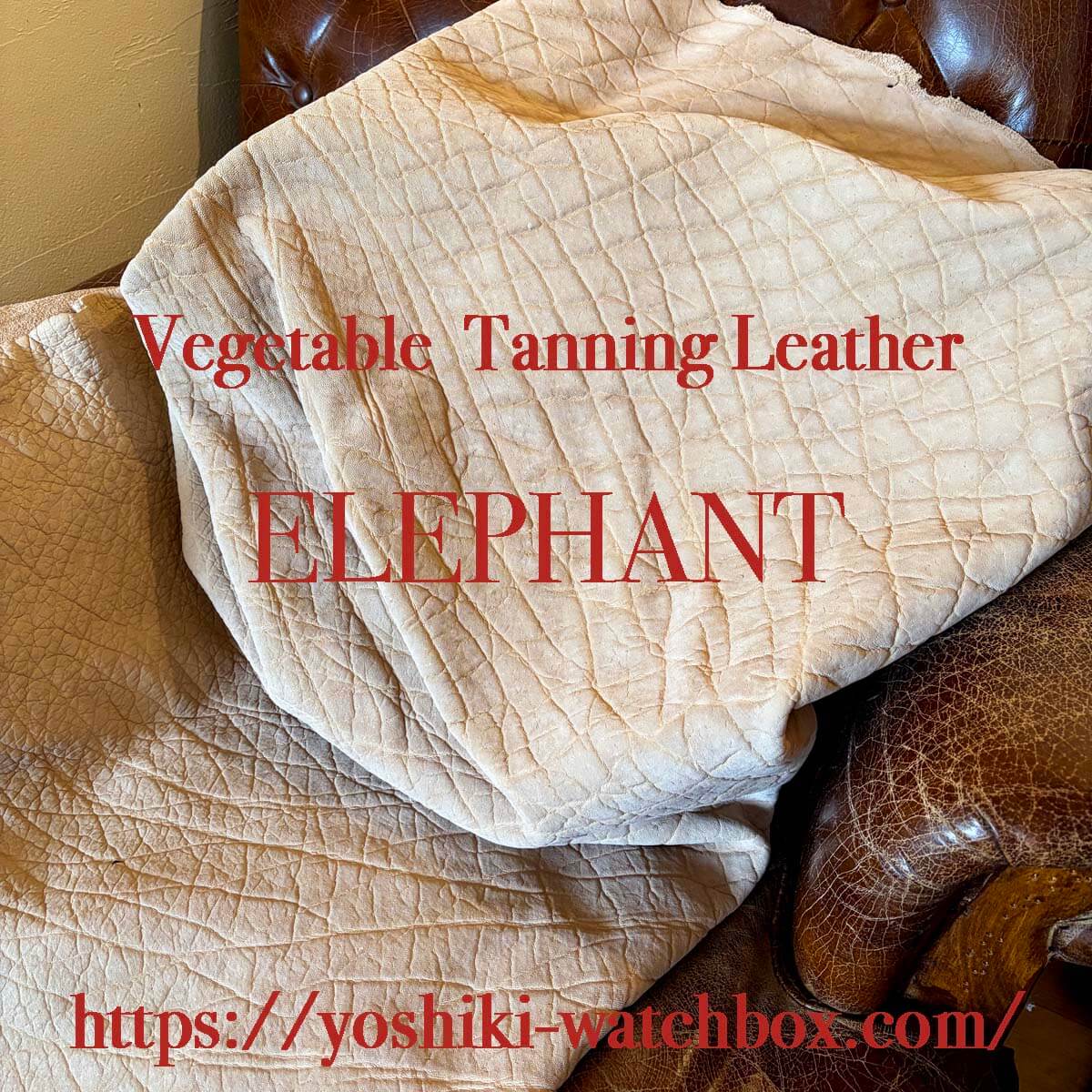 limited order 10は一旦ストップします・・・page-visual limited order 10は一旦ストップします・・・ビジュアル