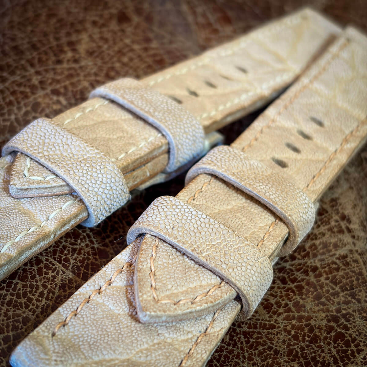 ヌメエレファントの在庫分page-visual ヌメエレファントの在庫分ビジュアル