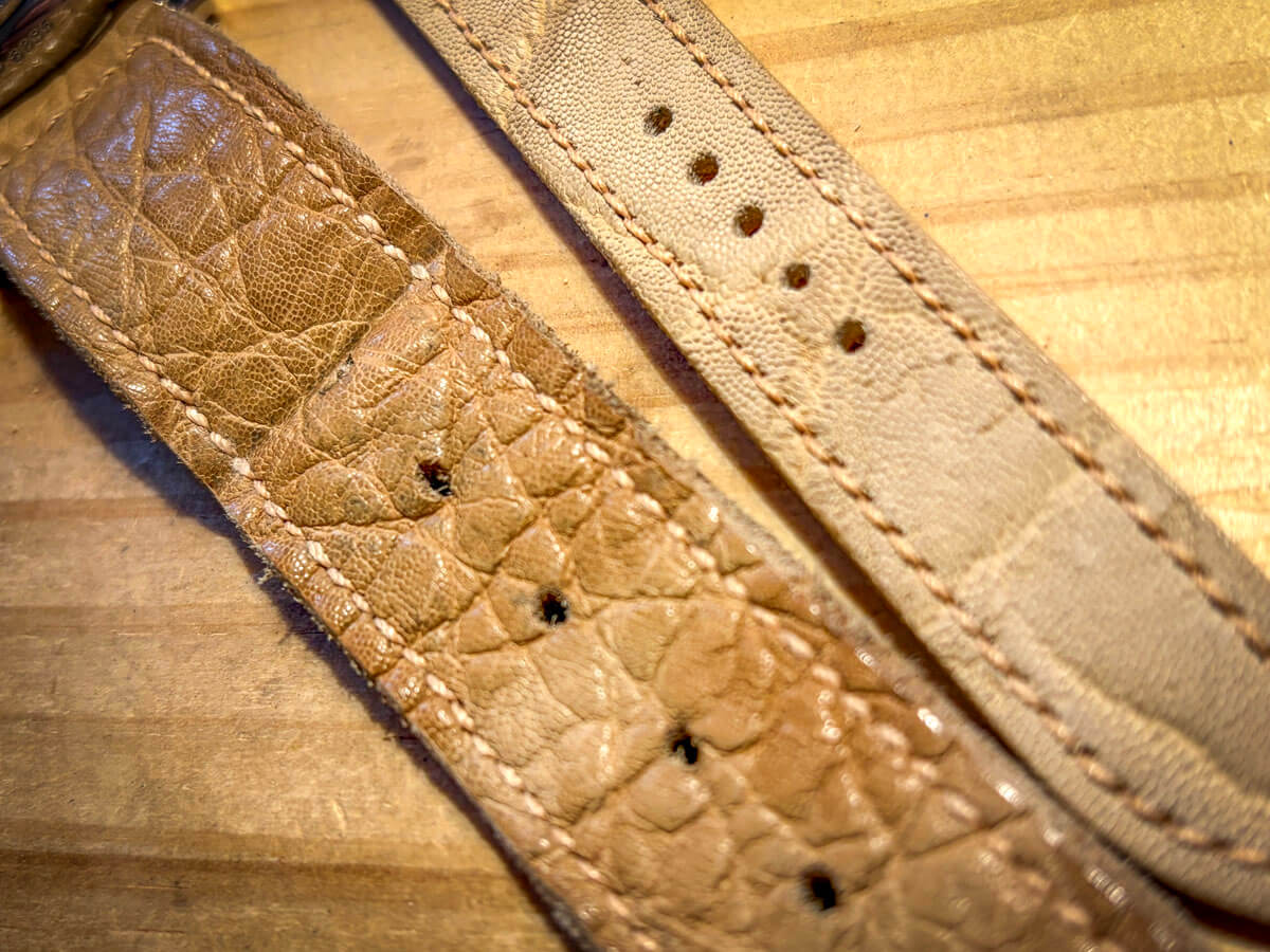 使用期間約3週間のヌメエレファントpage-visual 使用期間約3週間のヌメエレファントビジュアル