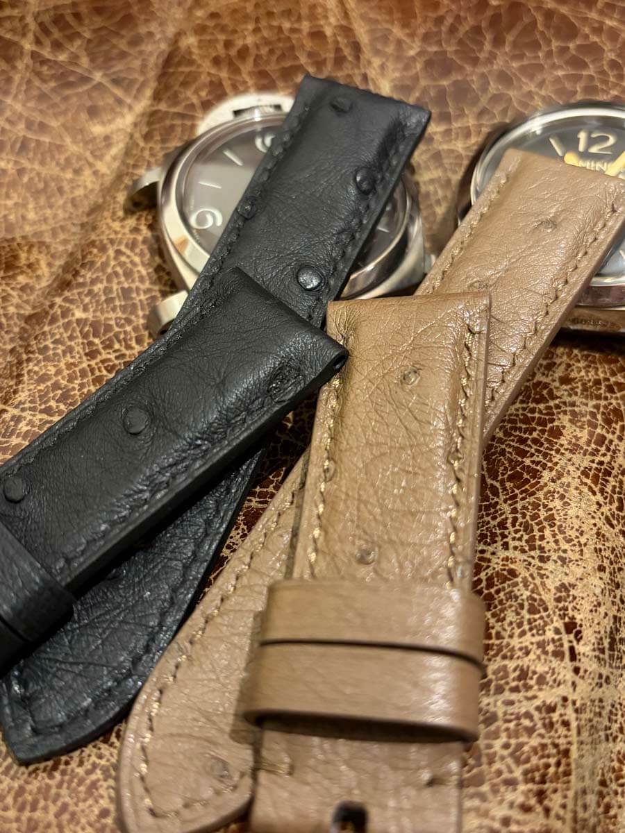 オーストリッチのアップを開始しましたpage-visual オーストリッチのアップを開始しましたビジュアル